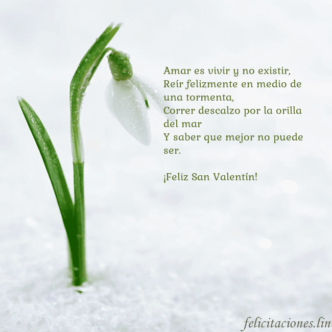 Tarjetas de San Valentín 8-8 Amar es vivir y no existir,
Reír felizmente en med Tarjetas de San Valentín 8-8