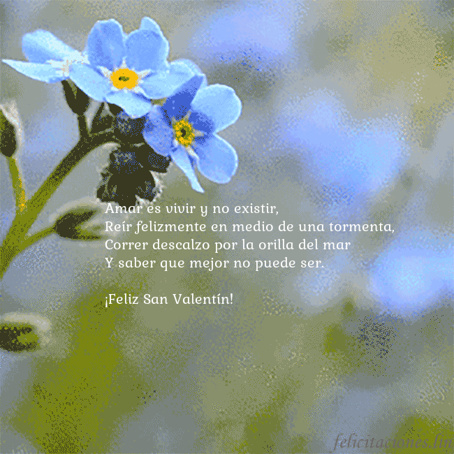 Postal electrónica animada con nomeolvides Amar es vivir y no existir,
Reír felizmente en med Postal electrónica animada con nomeolvides