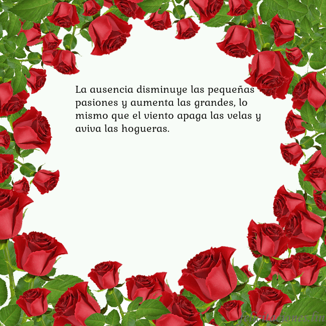 Tarjeta con con muchas rosas La ausencia disminuye las pequeñas pasiones y aume Tarjeta con con muchas rosas