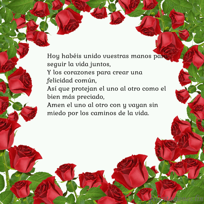 Tarjeta con con muchas rosas