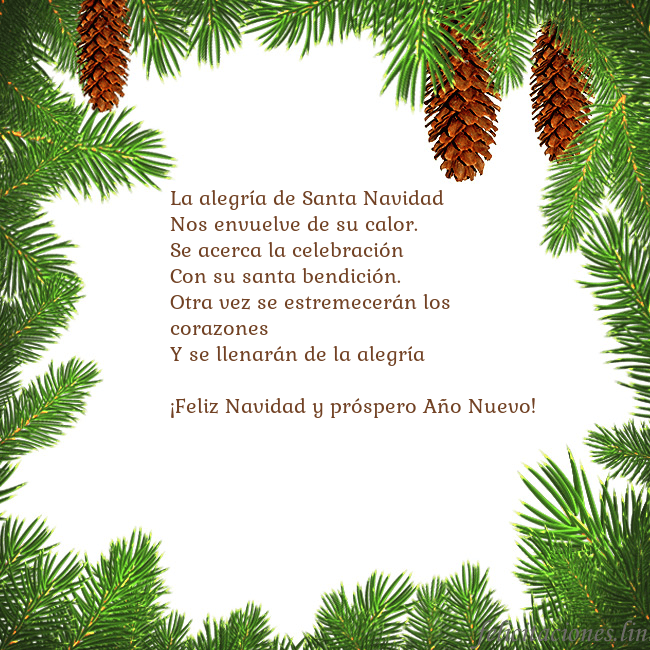 Tarjeta con conos de abeto La alegría de Santa Navidad
Nos envuelve de su ca Tarjeta con conos de abeto