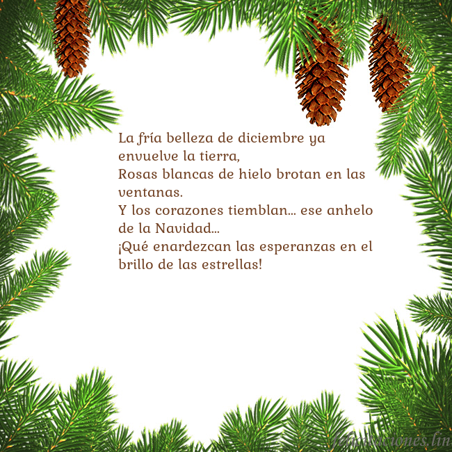 Tarjeta con conos de abeto La fría belleza de diciembre ya envuelve la tierra Tarjeta con conos de abeto