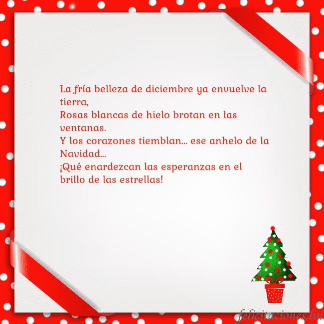 Tarjeta con árbol de Navidad en una maceta La fría belleza de diciembre ya envuelve la tierra Tarjeta con árbol de Navidad en una maceta
