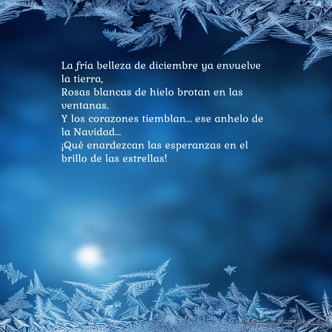 Tarjeta azul con escarcha La fría belleza de diciembre ya envuelve la tierra Tarjeta azul con escarcha