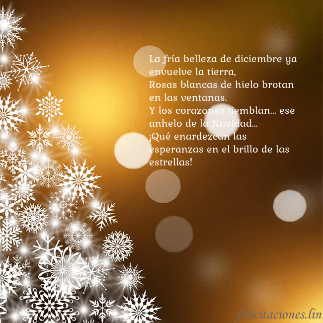 Tarjeta de felicitación con un árbol de Navidad hecho de copos de nieve La fría belleza de diciembre ya envuelve la tierra Tarjeta de felicitación con un árbol de Navidad hecho de copos de nieve