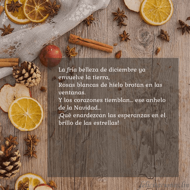 Tarjeta de felicitación con aroma navideño La fría belleza de diciembre ya envuelve la tierra Tarjeta de felicitación con aroma navideño