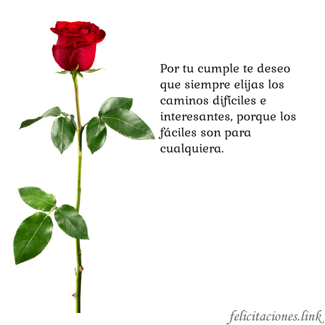 Tarjeta con una rosa roja