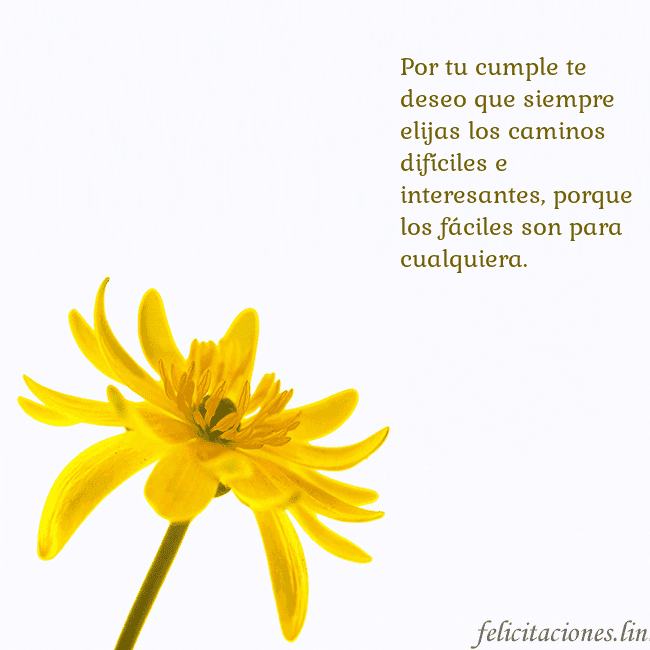 Tarjeta de cumpleaños con flor amarilla Por tu cumple te deseo que siempre elijas los cami Tarjeta de cumpleaños con flor amarilla