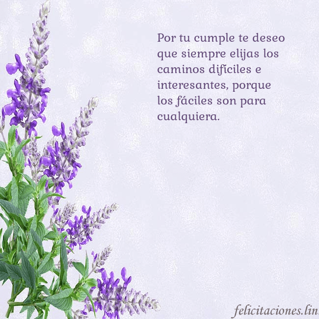 Tarjeta de cumpleaños con altramuces azules Por tu cumple te deseo que siempre elijas los cami Tarjeta de cumpleaños con altramuces azules