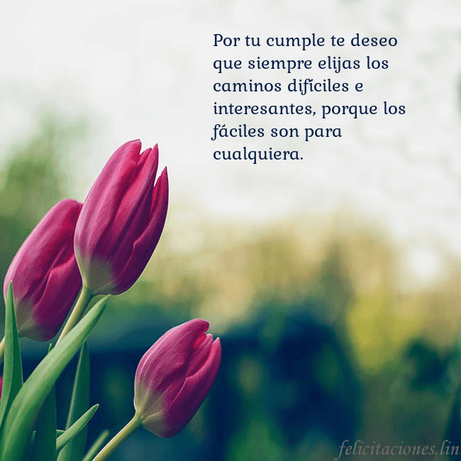 Tarjeta de cumpleaños con tres tulipanes rojos Por tu cumple te deseo que siempre elijas los cami Tarjeta de cumpleaños con tres tulipanes rojos