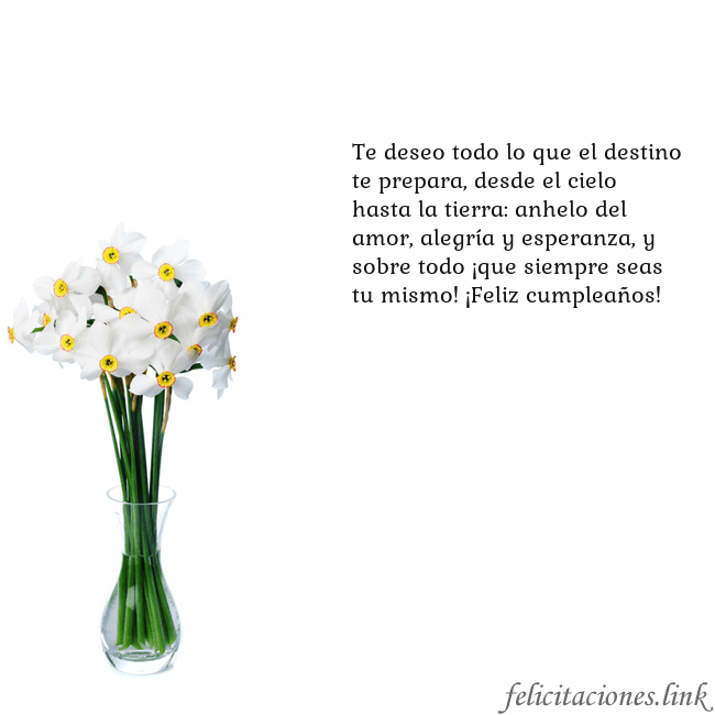 Tarjeta con narcisos