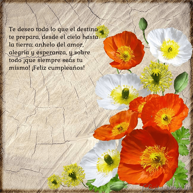 Tarjeta de cumpleaños con amapolas Te deseo todo lo que el destino te prepara, desde Tarjeta de cumpleaños con amapolas