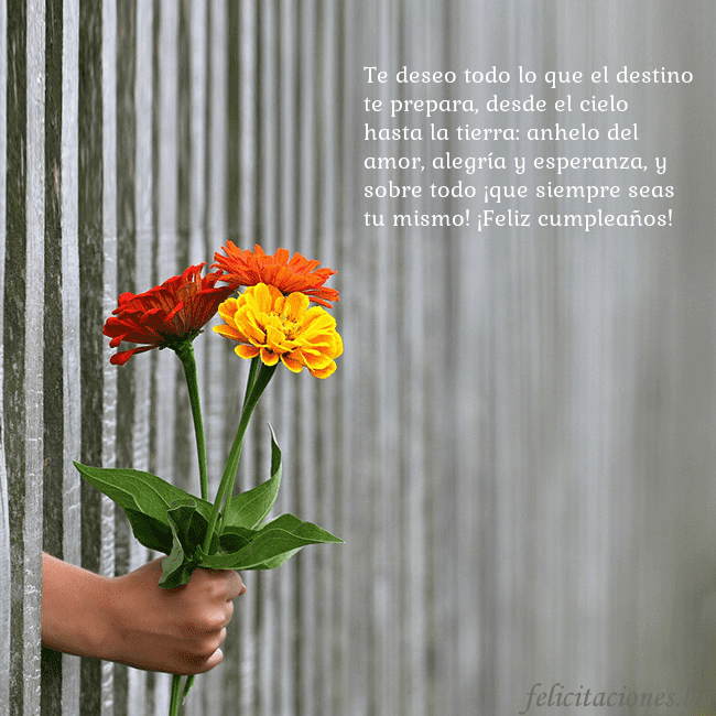 Tarjeta electrónica con ramo de flores Te deseo todo lo que el destino te prepara, desde Tarjeta electrónica con ramo de flores